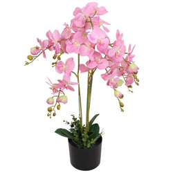 Orchidea Artificiale con Vaso75 cm Bianca